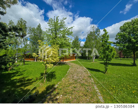 Spring Contrast: Forest and Park Edge 130586384