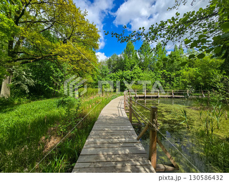 Wooden Walkway by the Forest Pond Wooden Walkway by the Forest Pond 130586432