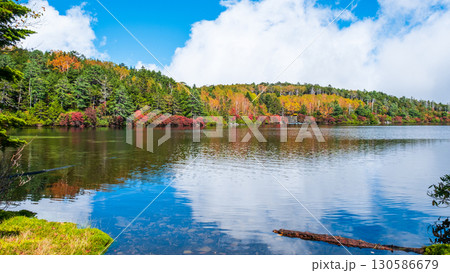 秋の白駒池 130586679