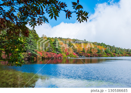 秋の白駒池 130586685