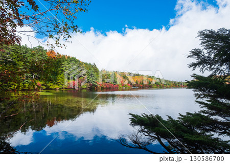 秋の白駒池 130586700