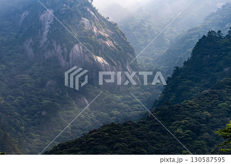 まるで水墨画　斜光のアート　世界自然遺産屋久島(春 130587595