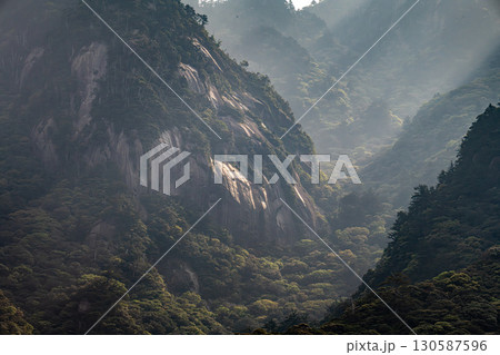 まるで水墨画 斜光のアート 世界自然遺産屋久島(春 まるで水墨画 斜光のアート 世界自然遺産屋久島(春 130587596