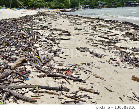 A beach heavily littered with wood and plastic 130588810