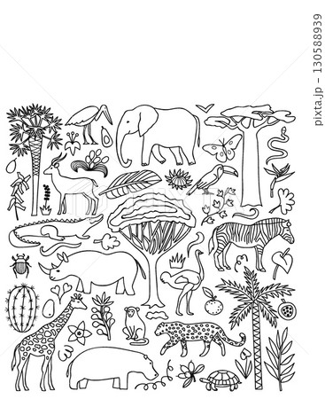 detailed black and white illustrations of various jungle animals and plants for coloring or education 130588939