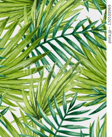 vibrant tropical palm leaves in various shades of green on a white background 130588969