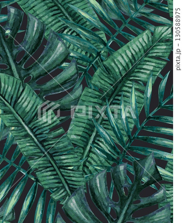 dense tropical jungle foliage with various green leafy plants and palm leaves dense tropical jungle foliage with various green leafy plants and palm leaves 130588975