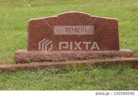 Headstone in Cemetery With Word Roach Headstone in Cemetery With Word Roach 130589540
