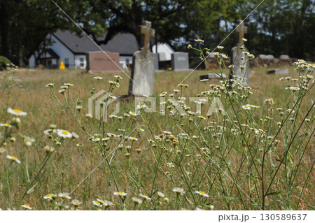 Historic Liberty Hill Cemetery With Church in Background Located in Tyler TX 130589637