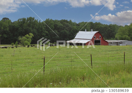 Red Barn located on Farm in East Texas with Blue Sky, Overton TX 130589639