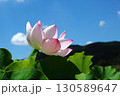 蓮の花苑 130589647