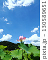 蓮の花苑 130589651