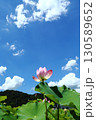 蓮の花苑 130589652