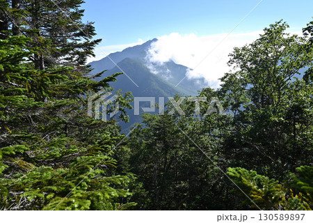 仙丈ヶ岳登山、山梨県 130589897