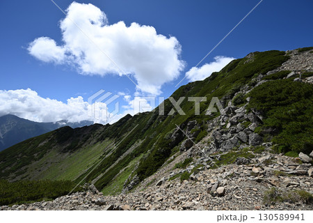 仙丈ヶ岳登山、山梨県 130589941