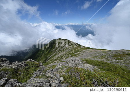 仙丈ヶ岳登山、山梨県 130590615