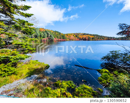 秋の白駒池 130590652