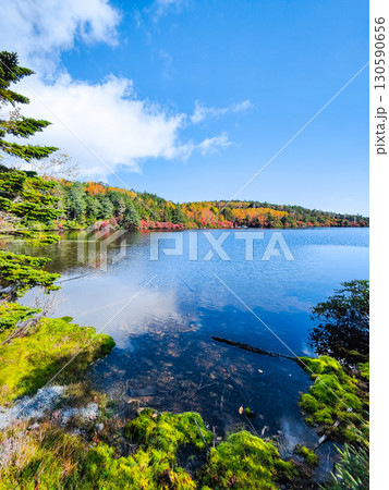 秋の白駒池 秋の白駒池 130590656