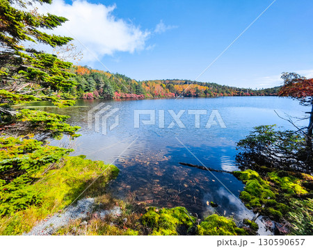 秋の白駒池 秋の白駒池 130590657