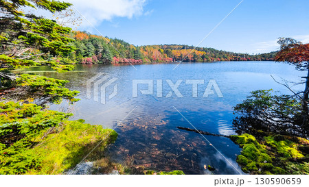 秋の白駒池 130590659