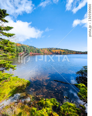 秋の白駒池 130590660