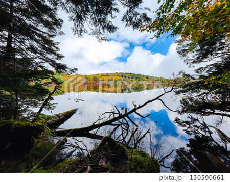 秋の白駒池 130590661