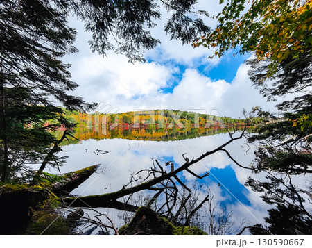 秋の白駒池 130590667