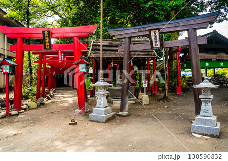 青井阿蘇神社【熊本県人吉市】 青井阿蘇神社【熊本県人吉市】 130590832