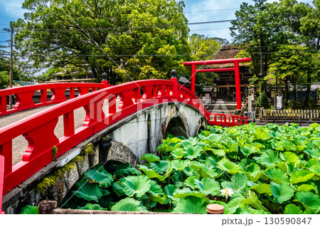 青井阿蘇神社【熊本県人吉市】 130590847