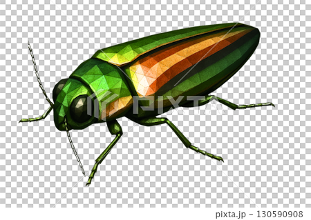 Japanese jewel beetle - an insect illustration that combines realism and polygons Japanese jewel beetle - an insect illustration that combines realism and polygons 130590908
