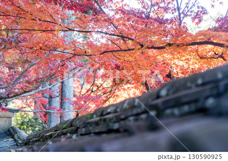 紅葉のある風景 130590925
