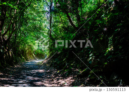 八角トンネル【熊本県下益城郡美里町】 八角トンネル【熊本県下益城郡美里町】 130591113