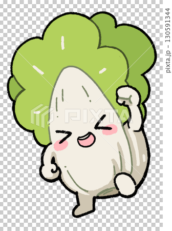 Chinese cabbage 130591344