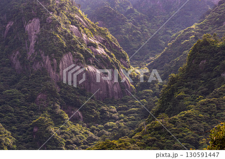 斜光に映える山肌 世界自然遺産屋久島(夏 斜光に映える山肌 世界自然遺産屋久島(夏 130591447