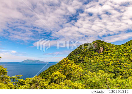 屋久島世界自然遺産の夏 緑が眩い森と口永良部島 屋久島世界自然遺産の夏 緑が眩い森と口永良部島 130591512