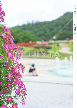 噴水設置された東沢バラ公園　2025年　山形県　 130591785