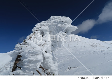 樹氷を纏った雪山 樹氷を纏った雪山 130591877