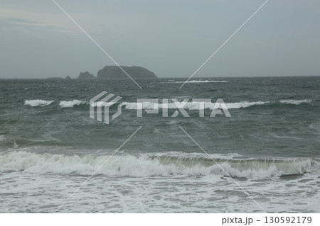 保田海岸を歩いた 保田海岸を歩いた 130592179