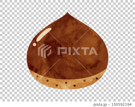 栗子插畫水彩版 栗子插畫水彩版 130592194