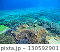 宮古島から船で行ける珊瑚礁の八重干瀬(やびじ)の珊瑚 130592901