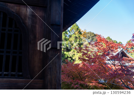 本堂から見る紅葉 本堂から見る紅葉 130594236