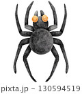 Watercolor Illustration of a Black Spider 130594519