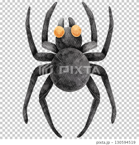 Watercolor Illustration of a Black Spider 130594519