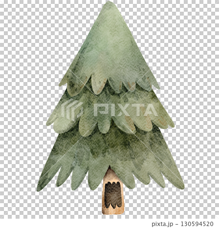 Watercolor Illustration of a pine tree-2 130594520