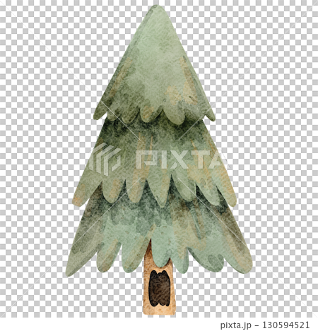 Watercolor Illustration of a pine tree 130594521