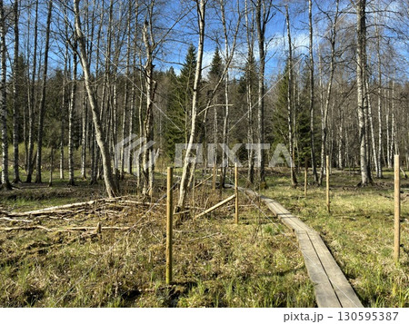 フィンランドのヌークシオ国立公園 130595387