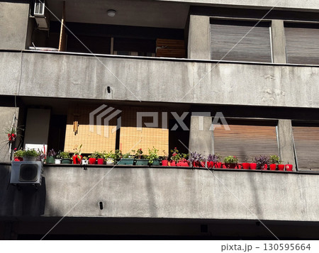 Balcony with flowers in red pots. Urban gardening, greenery and outdoor decoration on a residential building. 130595664