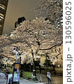 夜桜 130596025