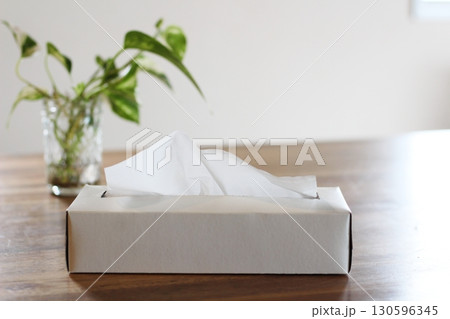 テッシュペーパー　白いティッシュ箱　ポトス　緑 130596345