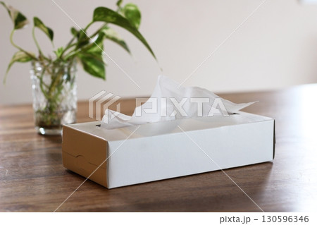 テッシュペーパー 白いティッシュ箱 ポトス 緑 テッシュペーパー 白いティッシュ箱 ポトス 緑 130596346